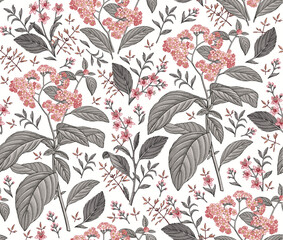 Seamless pattern. Heliotrope garden wildflowers. Beautiful blooming realistic isolated flowers. Vintage background fabric Wallpaper baroque Drawing engraving sketch Vector victorian illustration retro