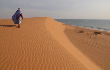Fototapeta na wymiar Randonnée en Mauritanie dans le parc d'Arguin