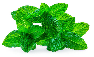 Fresh spearmint leaves isolated on the white background. Mint, peppermint (Mentha)  close up.