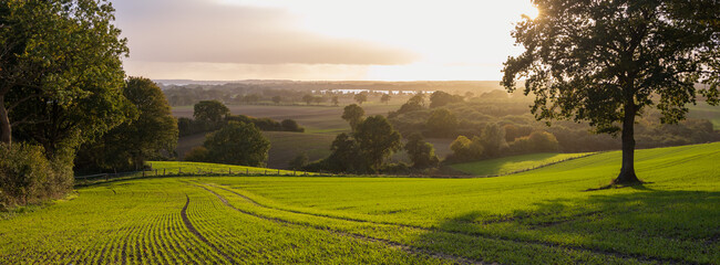 Feldlandschaft mit Hügeln aund Abendhimmel.