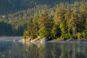 Bäume an Ufer eines Sees von Sonne am Morgen angestrahlt mit Spiegelung in Wasser.