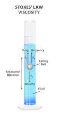 Vector scientific illustration of Stoke's method or Stoke's law – measurement of viscosity. Measurement of fluid viscosity using a ball. The illustration is isolated on a white background.