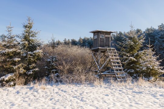Hochschitz eines J&auml;gers im Wald mit Schnee