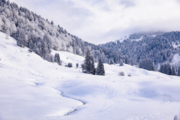 Beautiful snow covered winter landscape with with mountains and white trees in German Alps. Frozen creekriver in foreground. Background for screen. Cloudy sky. 
