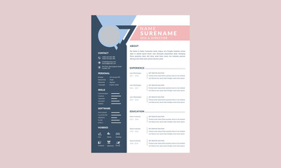 Professional Cv Template