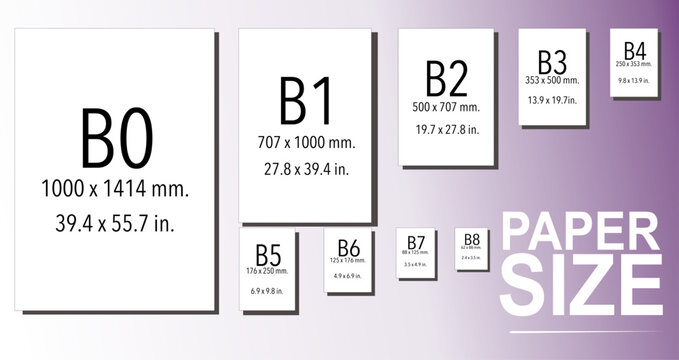 Paper guide sizes vectors b1 b2 b3 b4 b5 b6 b7 b8 b9 b10 for work sheet format graphics designer isolated illustrations
