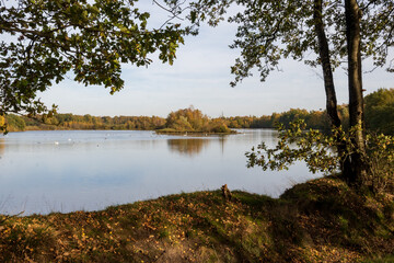 Nature landscape in autumn, in the forest with a lake and reflection in the water.