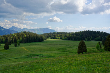 Chamrousse - Plateau de l'Arselle