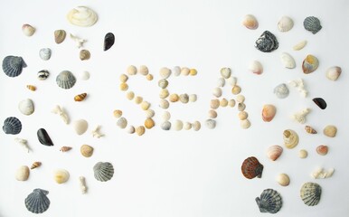 On a white background shells and small corals, text sea lined with seashells.  Flat lay, top view.  The concept of sea travel to hot countries.