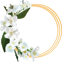 jasmine flowers circle frame on white background