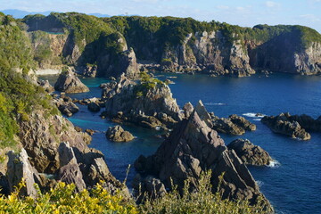海金剛（うみこんごう）：和歌山県東牟婁郡串本町樫野・紀伊大島、南紀熊野ジオパーク