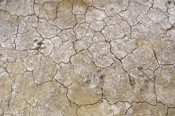 Dry soil due to drought
