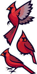 Stylized Birds - Northern Cardinal
