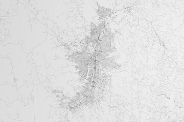 Map of the streets of Medellin (Colombia) on white background. 3d render, illustration