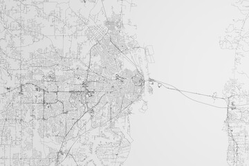 Map of the streets of Mobile (Alabama, USA) on white background. 3d render, illustration