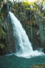 Waterfall surrounded by lush greenery