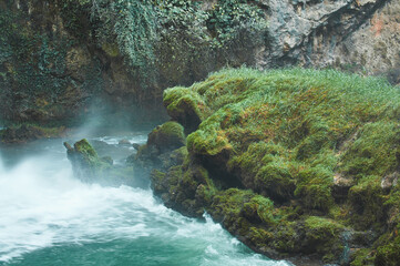 Waterfall surrounded by lush greenery
