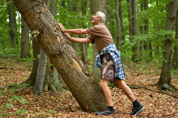 Old men in the forest leans against a arid tree and wants to knock it down to the ground