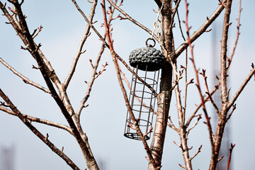 Support for bird food in winter.