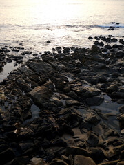 Rocks in the sea at sunset
