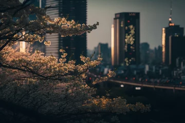 Foto op Plexiglas Spring in Tokyo City © SujithShalitha
