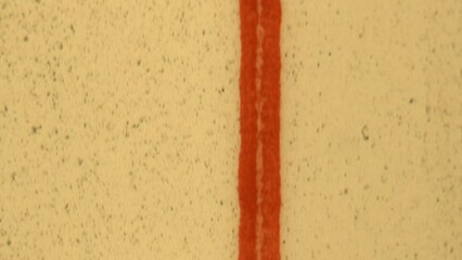 Film Leader 1985 - Film Leader from a home movie collection on 16mm stock