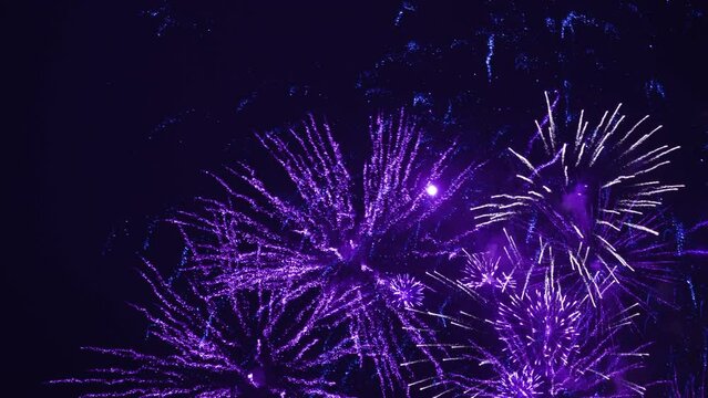 Fireworks in night sky. The colors are blue and violet