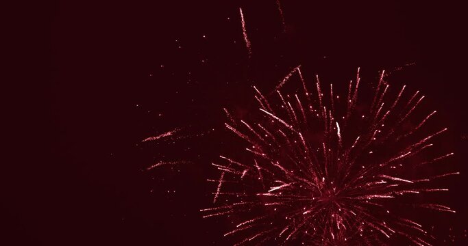 Beautiful firework in dark sky. The color is red
