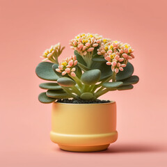 Mini Kalanchoe plant in a pot on pastel pink background created with Generative AI Technology
