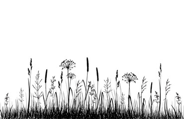 grass silhouette vector, meadow wild flowers background
