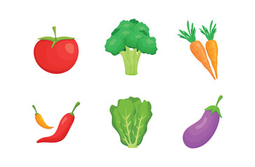 Tomato, Broccoli, Carrot, Chili, Lettuce, Eggplant.Fresh organic food, healthy eating illustration in flat style. vegetables for farm market, vegetarian salad.Fresh vegetables