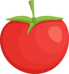Tomato.Fresh organic food, healthy eating illustration in flat style. vegetables for farm market, vegetarian salad.Fresh vegetables collection in flat style.