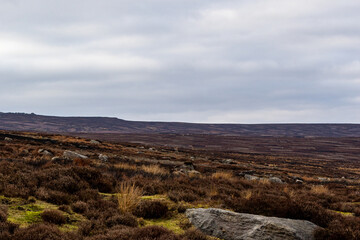 landscape in the mountains