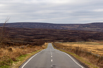 road to the mountains