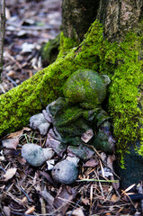 abandoned toy in the forest