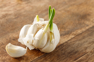 Broken bulb of white garlic with sprouted cloves on wooden cutting board.