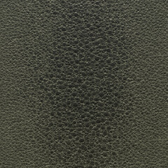 Genuine frog skin. The textured background of the frog skin is close. 3D-rendering