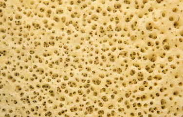 A close-up of the texture of a slice of traditional cheese