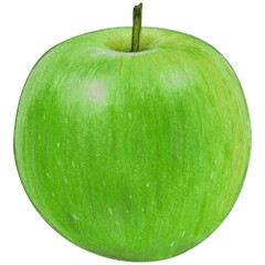 watercolor hand drawn realistic apples