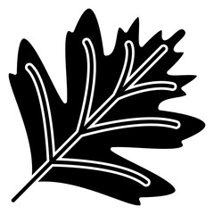 Hawthorn Leaf icon