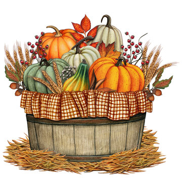 Watercolor harvest pumpkin basket decoration