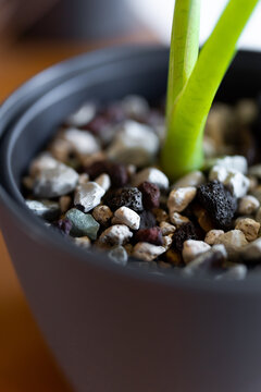 Hydrokultur mineralisches Substrat Selbstbew&auml;sserungstopf