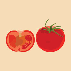  Illustration of some beautiful slices tomato vegetable