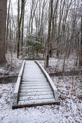 bridge on the trail in the swamp covered with snow in winter