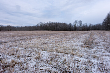 Great Swamp open area covered with snow in winter