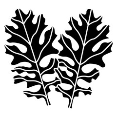Fototapeta premium Dusty Miler Leaf icon