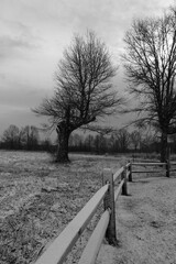 Great Swamp open area covered with snow in winter in black and white