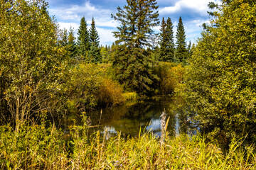 Fototapeta premium A drive around Clearwater County Alberta Canada