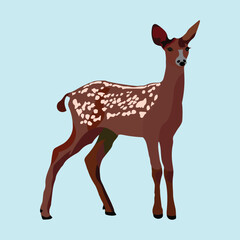  Illustration of a beautiful and cute babby deer
