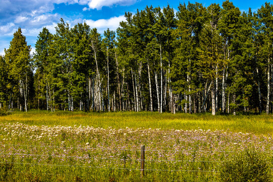 A Drive Around Clearwater County Alberta Canada